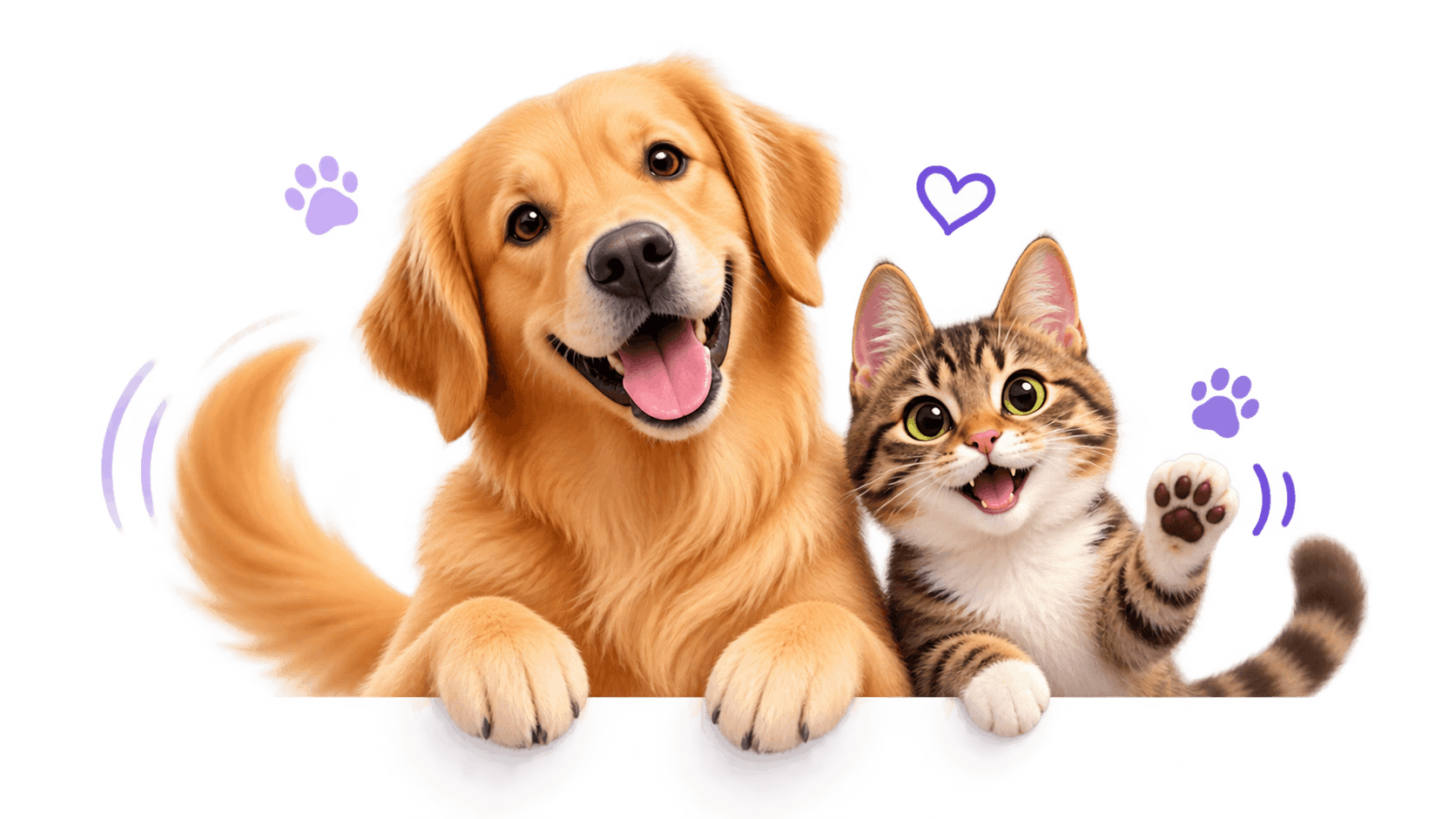 Dog-Cat